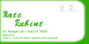 mate rubint business card